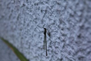 IMG_2011_09_18_3032_1.JPG