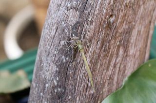 IMG_2011_09_18_3044_1.JPG