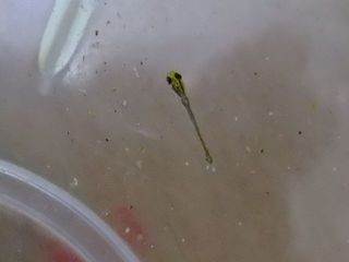 DSCF8655_2.jpg
